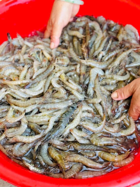 Chả Ram Tôm Đất Bình Định