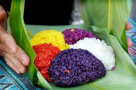 Gạo Nếp Tú Lệ - Yên Bái