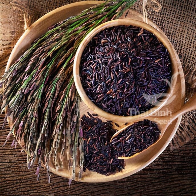 Gạo