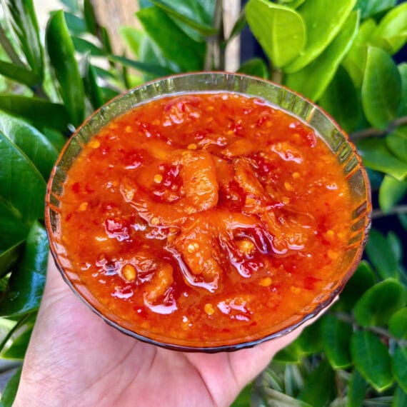 Mắm Tôm chua Bà Duệ