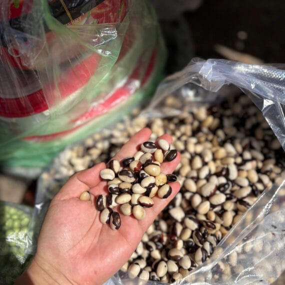 Đậu Tươi Đà Lạt mix 7 loại hạt