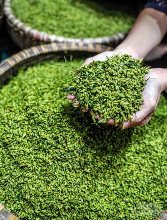 Xôi Cốm Hạt Sen Hà Nội