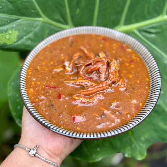 Mắm Cá Cơm Dì Cẩn Đà Nẵng