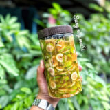 Sung Nếp Muối Xổi