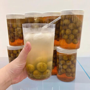 Sấu Ngâm Đường Hà Nội